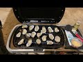 Oyster Catch and Cook