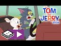 The tom and jerry show  crazy for ewe  boomerang uk