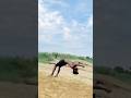 Hardwork 720 flip 😳🔥 #shorts #flip #youtubeshorts #viralvideo #trending #stunt #hardwork #jump