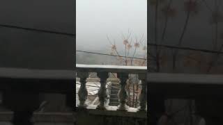 ضباب كثيف يغطي ضيعة بسابا الشوف