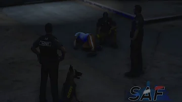 San Andreas' Finest Livestream: K9 Sasha Handler, She's Alive with a FULL Recovery!!