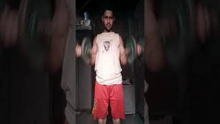 Double Hand Hammer & Dumbbell Curl Mix Bicep Exercise.. #Workout_Fever #shorts