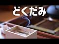 【自然のお香】庭に生えるどくだみを乾燥させてみた