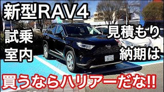 新型rav4の季節別の車中泊の注意点は 便利なアイテム3選はこれ 新型car Feeling