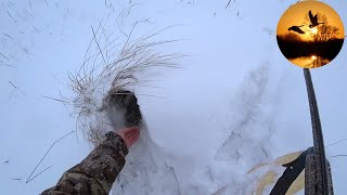 охота на зайца, для чего сдвойки и скидки