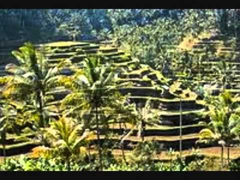 Lagu Perjuangan / Lagu Wajib - Nyiur Hijau (lirik) (SMA N 1 DEMAK)