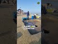 تهريب النفط في إيران تجارة البقاء المحظورة تهريب النفط النفط الإيراني الحدود الإيرانية إيران