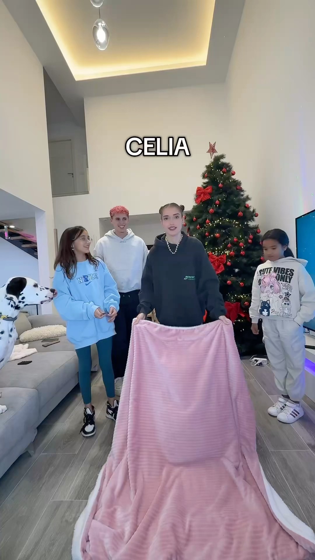 Quién lo ha hecho mejor??
