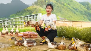 Bring Ducks Go To Market To Sell - Alone Build Log Cabin - Live With Nature | Anh Daily Life