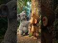 #koala #punch #monkey #jungle #animals