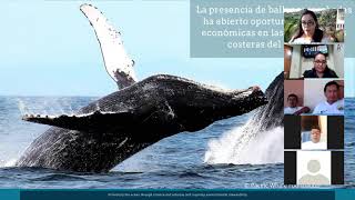 Charla Para Guias En Ecuador | Spanish language training for whale watch operators
