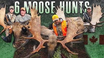 6 Amazing Moose Hunts From Across Canada (BEST OF HUNTING Compilation)