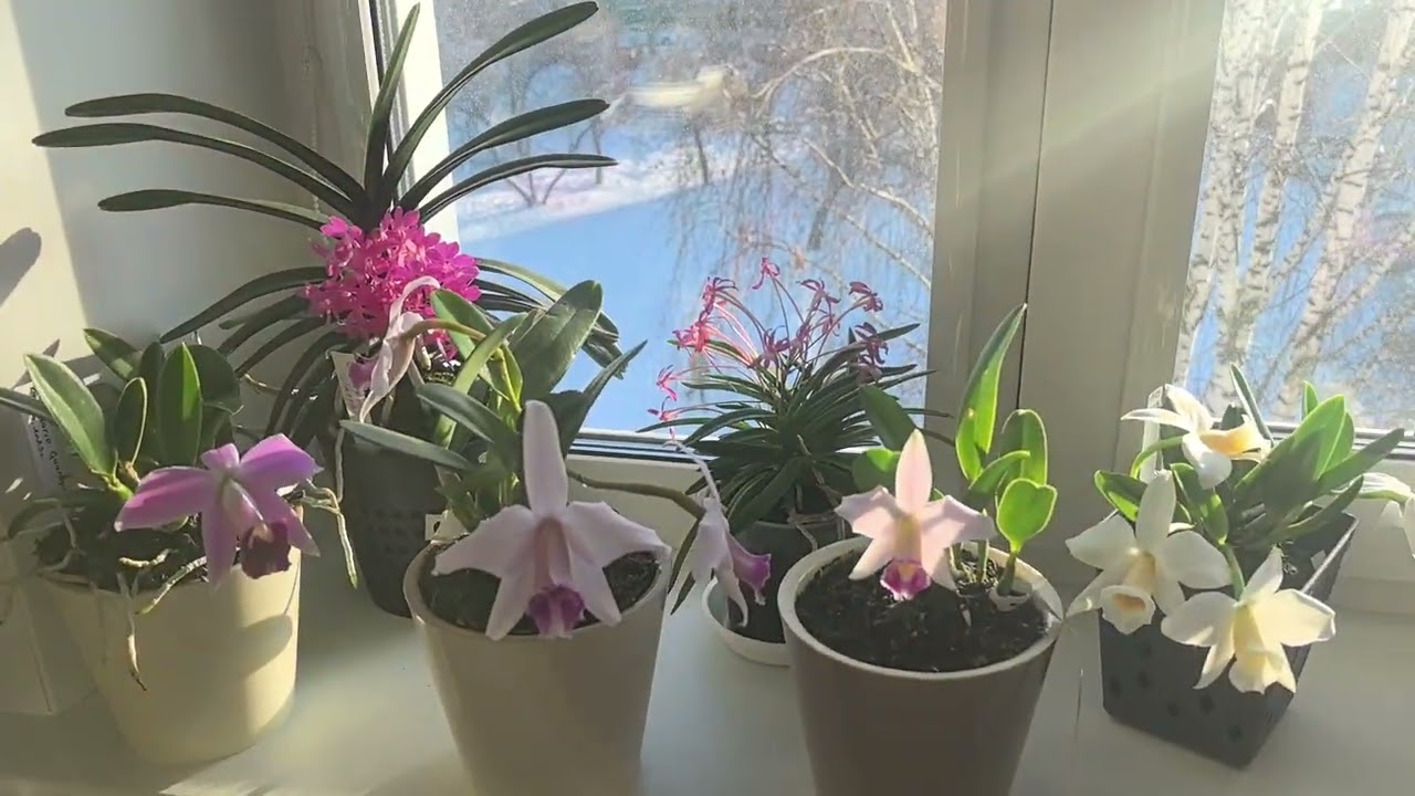 3 января 2026 г.