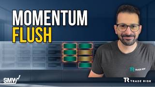Mega-Cap Tech Returns as Momentum Stocks Get Flushed