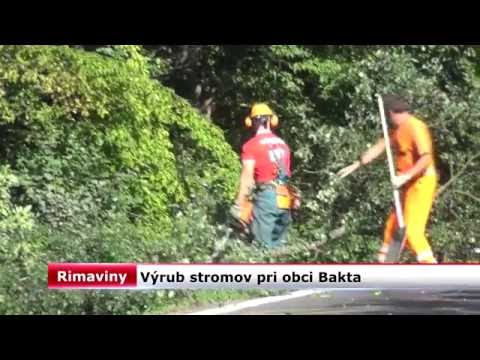 Video: Profesionálny Výrub ťažkých A Nebezpečných Stromov