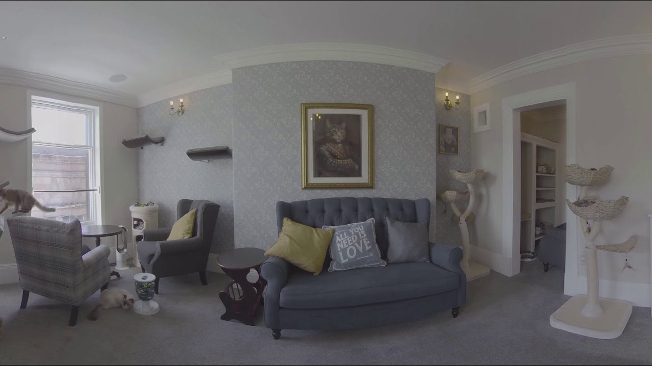 video phone beyonce mp3 Take a 360 tour of Cat Cafe Liverpool!