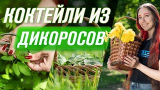 Не спешите избавляться от сорняков! 5 рецептов ЗЕЛЕНЫХ ДЕТОКС КОКТЕЙЛЕЙ из диких трав в блендере