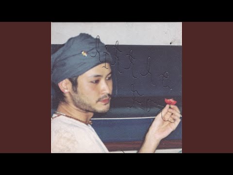 Little Fox - Singing In Bars