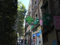 cruz farmacia