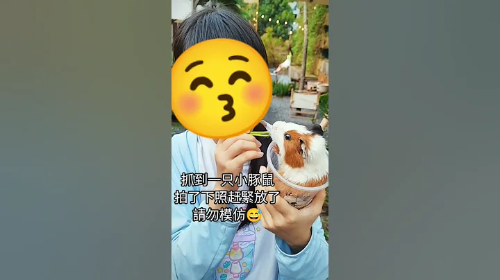 这间大叻风咖啡BBQ餐厅不错~就是位置有点小偏＃愉快的周末 - 天天要闻