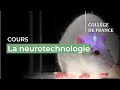 La neurotechnologie 6  stphanie lacour 20232024