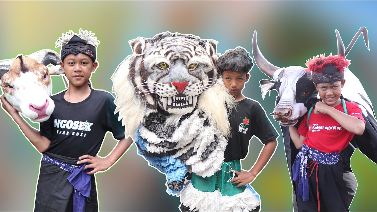 WIIH KEREN TEMAN2 ADA BANYA SEKALI BANTENGAN SAPI MBEROT