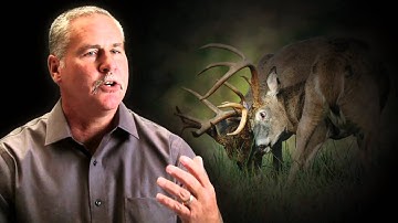 RuttingBuck. How To Use A High Testosterone Scent.