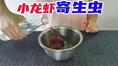 用白醋或酒浸泡小龙虾，据说就会出现很多寄生虫？小伙亲测真假【未闻实验室】 - 天天要闻