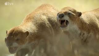 Prehistoric planet Ice Age promo Walking with beasts Theme 