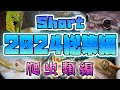 2024 Short総集編 爬虫類両生類編 ヤモリヘビカエル 2024 Short総集編 爬虫類両生類編 ヤモリヘビカエル