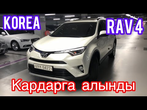 Video: Эмен аралынын каргышка калган кенчи