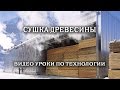 Фрагмент ВИДЕО УРОКА - Сушка древесины.