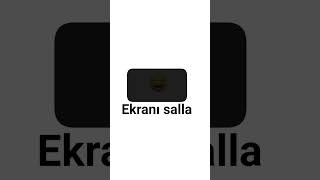 Ekranı Salla