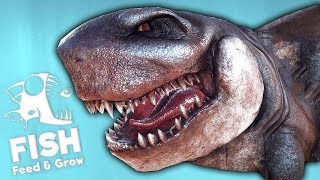 БЕЛАЯ АКУЛА ПРОТИВ МЕГАЛОДОНА! БИТВА ВЕКА! FEED AND GROW FISH РЫБИЙ ЧЕЛЛЕНДЖ БЕЛАЯ АКУЛА ПРОТИВ МЕГАЛОДОНА! БИТВА ВЕКА! FEED AND GROW FISH РЫБИЙ ЧЕЛЛЕНДЖ