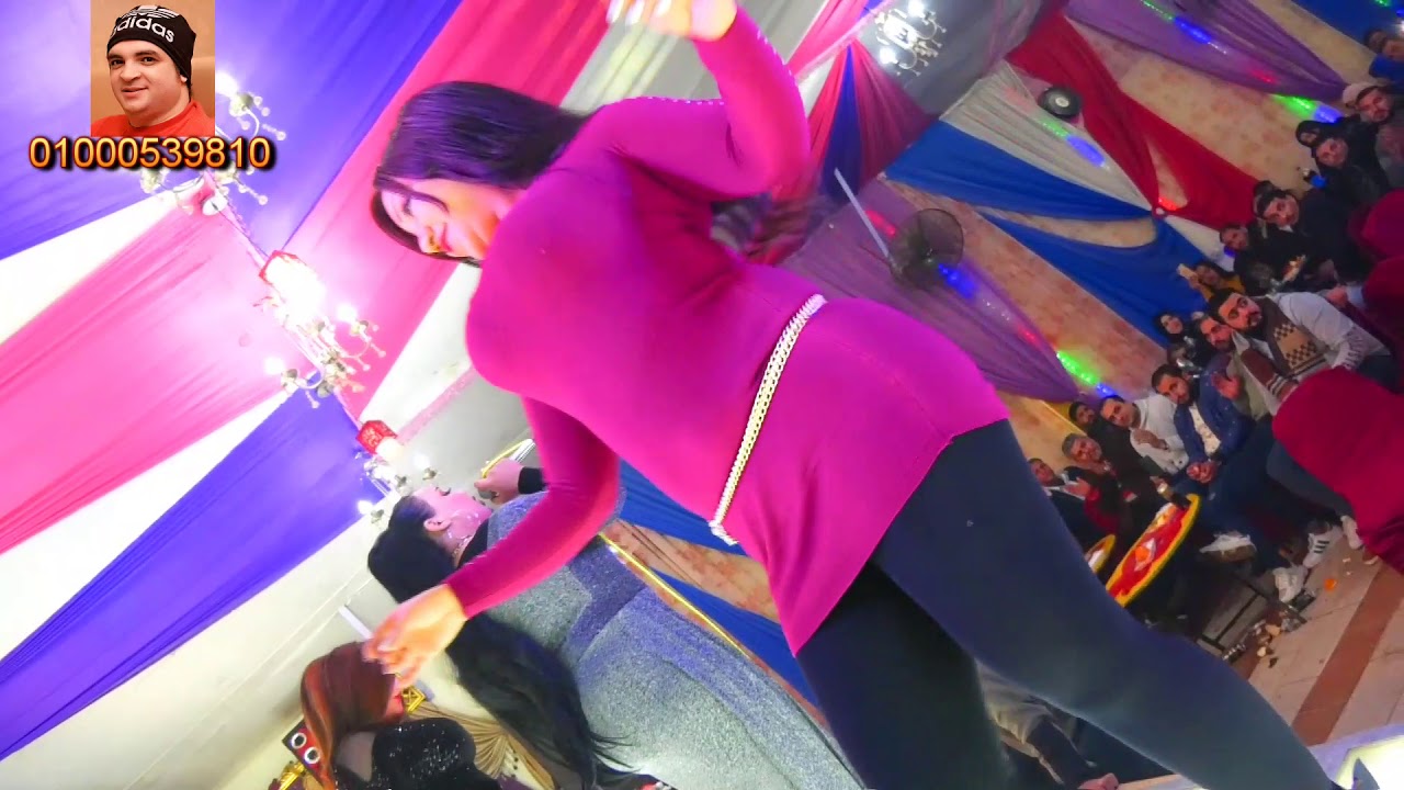 بلبله حمدى مستحيل عيد ميلاد الفنانه وعد قناة حماده زناتى 01000539810