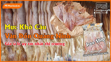 Địa Chỉ Mua Mực Khô Câu Vân Đồn Quảng Ninh Ngon Nhất