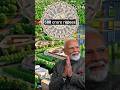 Where do world leaders live? Narendra modi, Shahbaz sharif, putin and donald trump's house prices $$