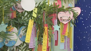 出発客、短冊に願い 羽田空港に七夕のササ
