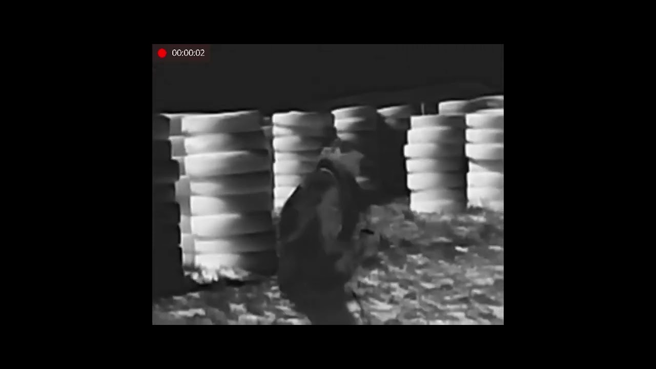 Hererra Bachelor Party Paintball Albuquerque New Mexico 6/6/2024 YouTube