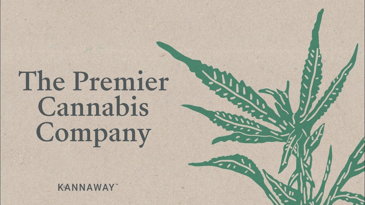 Kannaway - ведущая компании в индустрии каннабиса