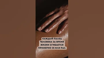 У жирафа и человека одинаковое количество шейных позвонков Интересные факты