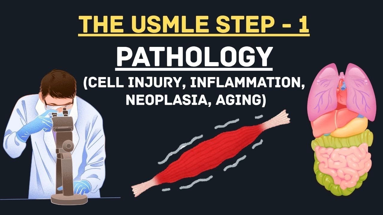 Pathology Basics for USMLE Step 1 | Medical Concept Review