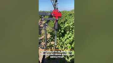 Fast and Accurate Vineyard Trimmer