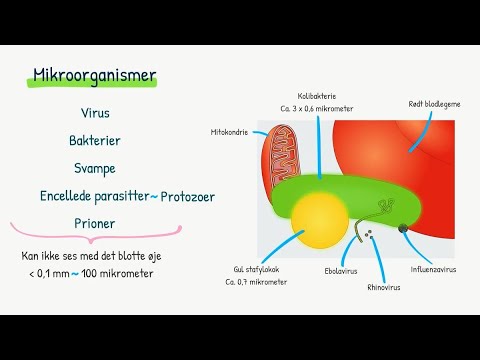 Video: Svampen Holobiont I Et Hav I Endring: Fra Mikrober Til økosystemer