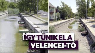 Rá sem ismerni a Velencei-tóra, olyan döbbenetes a kiszáradás lávtánya