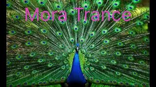 Mor Trance New Dj Sanjeev Khatana Bharana Se