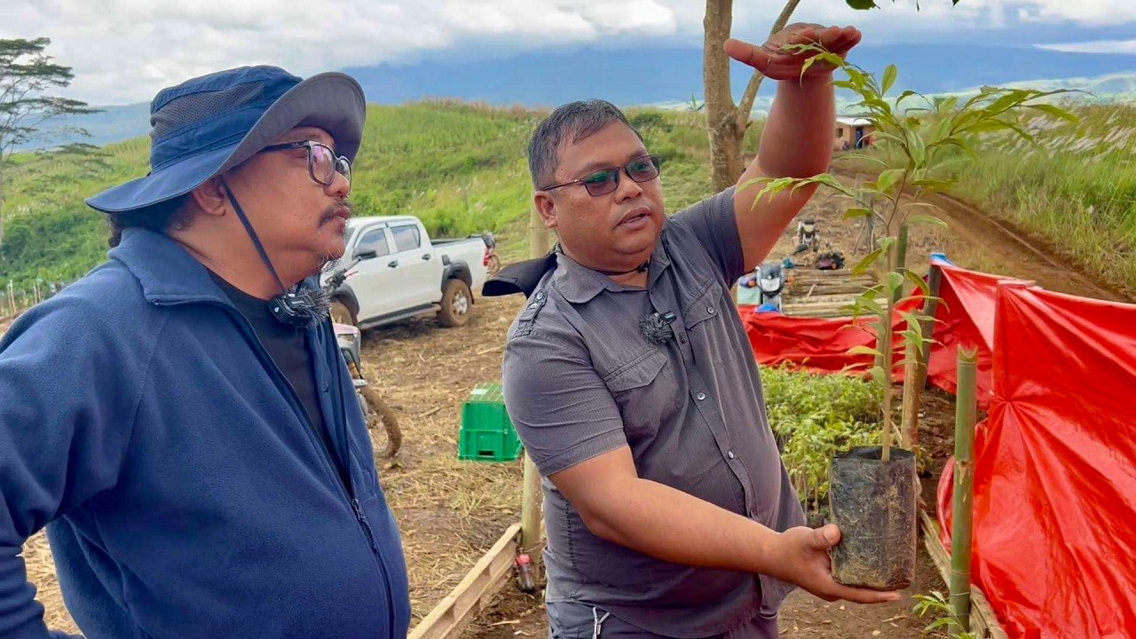 LARGE PLANTATION EXPERT - Tuturuan Tayo MAGTANIM at ALAGAAN ang AGARWOOD!