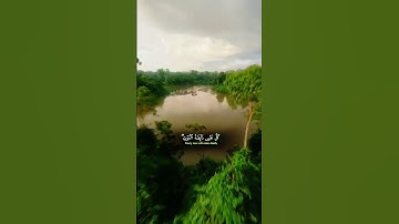 القرآن الكريم الشيخ ياسر الدوسري