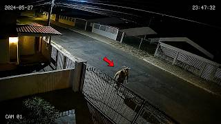 8 Videos So Terrifying That Most People Can’t Finish Them
