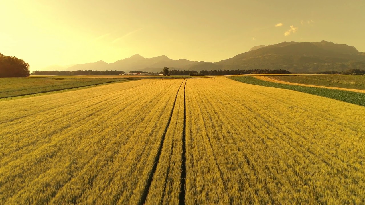 aerial agricultural farm with vast wheat fields under rocky 